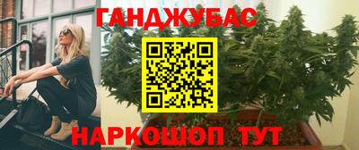 спиды Гай