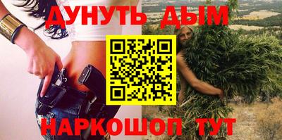 спиды Гай