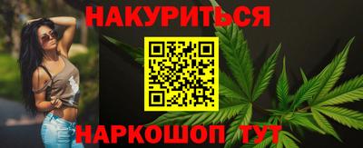 спиды Гай