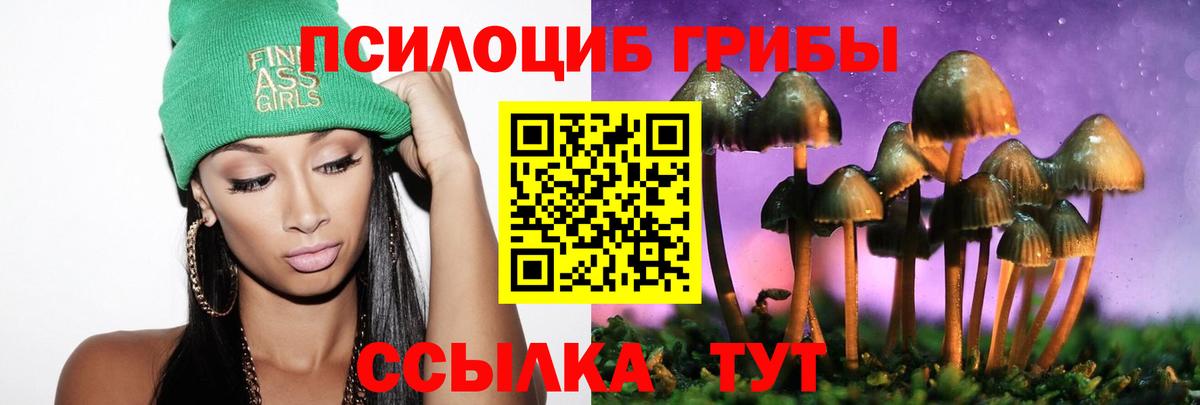 Москва  Галлюциногенные грибы Psilocybine cubensis  Вход с VPN 